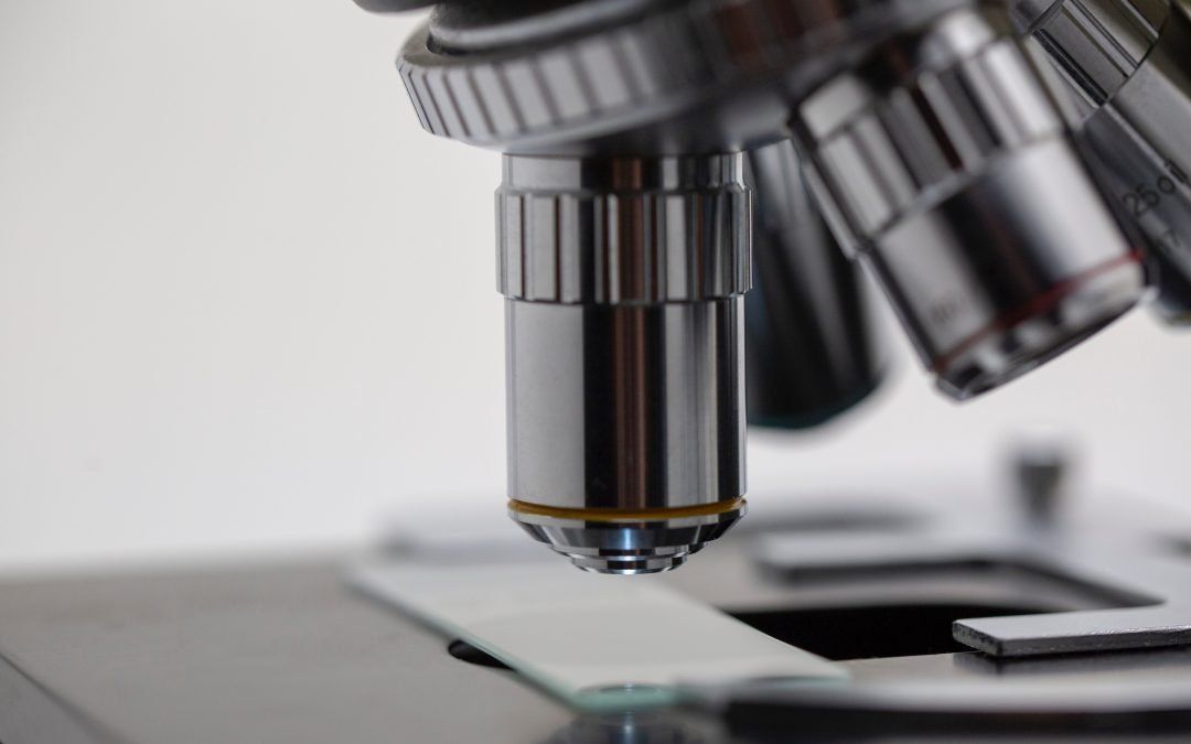 Plus Ethics or the non-negotiable of ethics in R&D. Ethical principles of scientific research