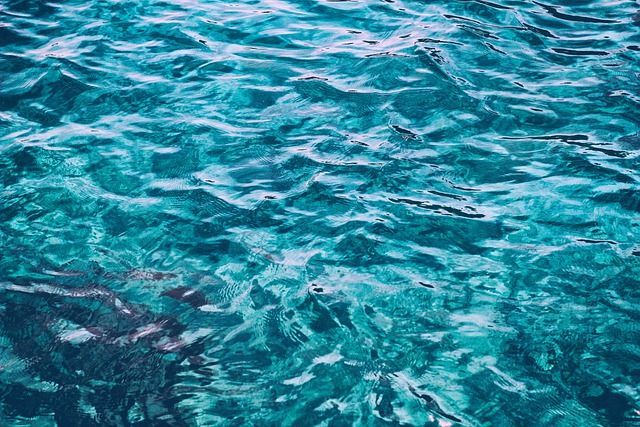 Plus Ethics collaborates as an independent ethical advisor to the European GES4SEAS project