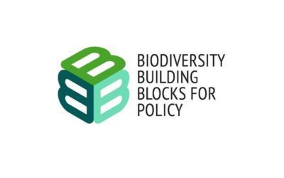 Biodiversity Building Blocks for policy