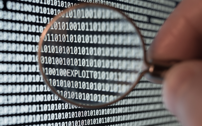 Shedding Light on the Social Impacts of Digital Steganalysis Tools in Cybercrime Investigations: Insights from the European Union